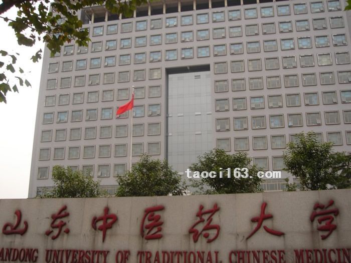 山东中医药大学