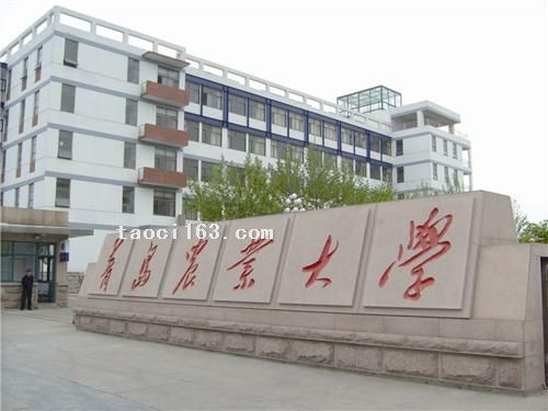 青岛农业大学（山东）